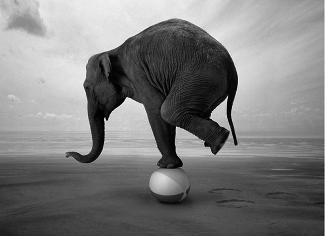 ما هو قانون&nbsp;التوازن؟